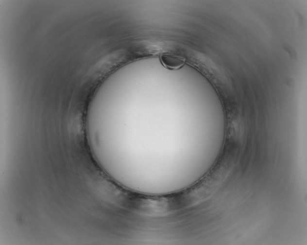 X0000111020317200907022204