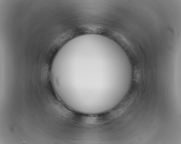 X0000111020318200907022204