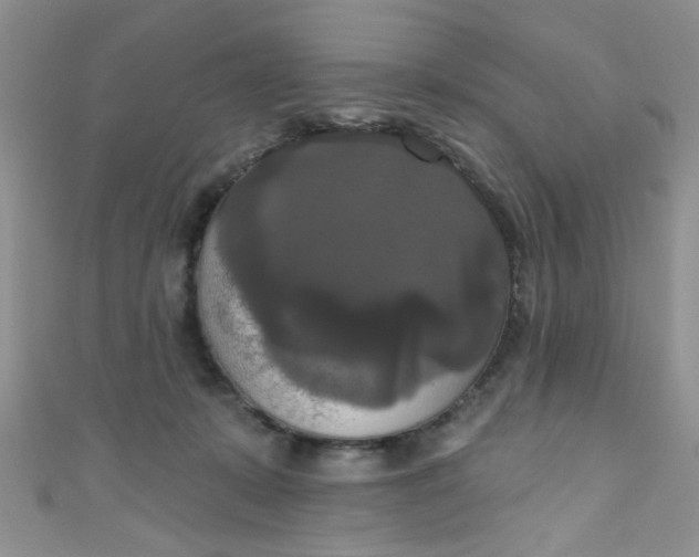 X0000111020319200907022204