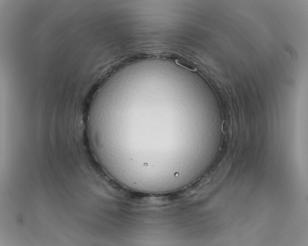 X0000111020320200907022204