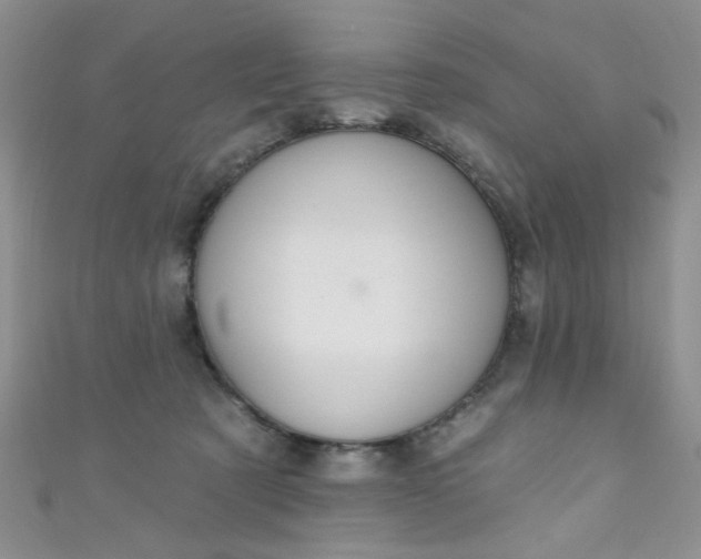 X0000111020321200907022204