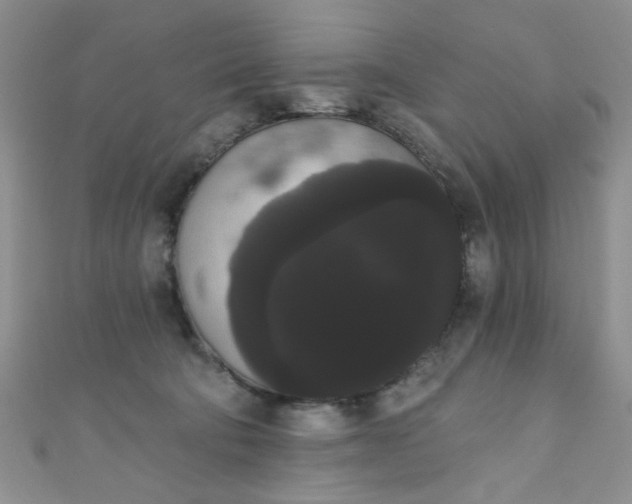 X0000111020322200907022204