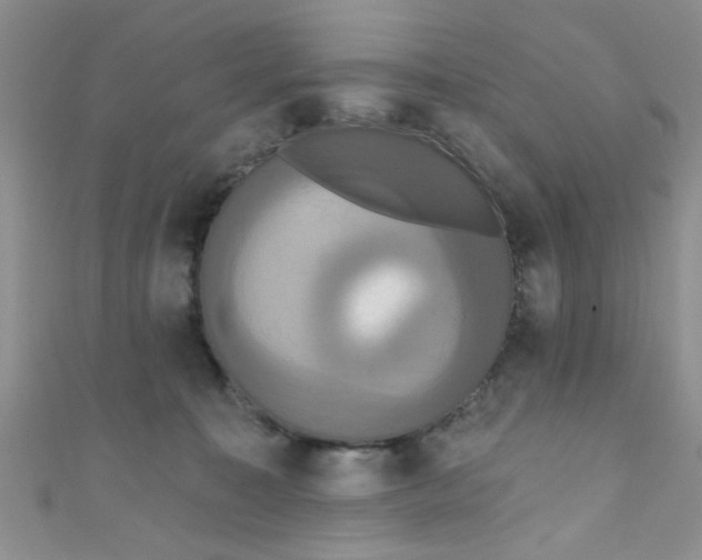 X0000111020323200907022204