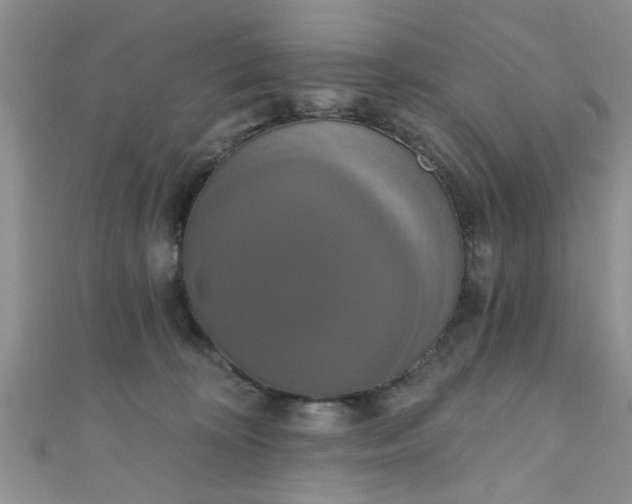 X0000111020324200907022204