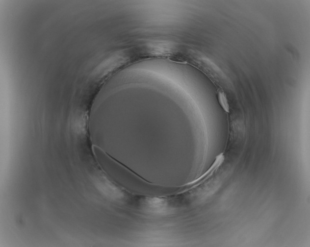 X0000111020325200907022204