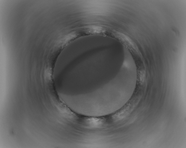 X0000111020326200907022204