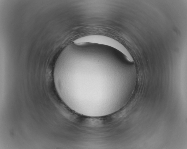 X0000111020327200907022204
