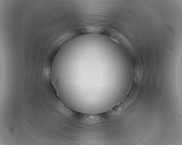 X0000111020329200907022204