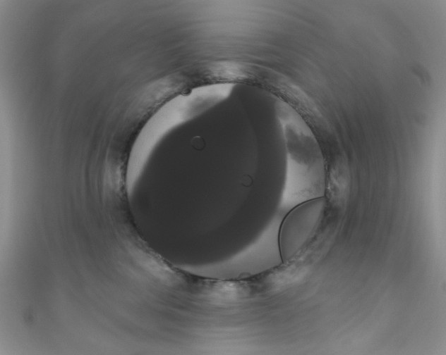 X0000111020330200907022204