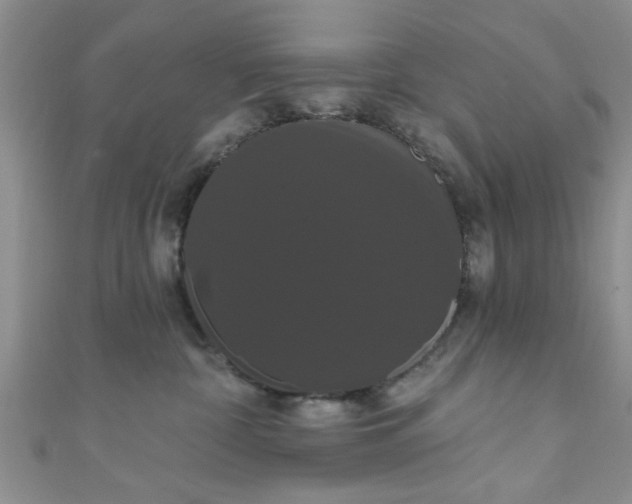 X0000111020332200907022204