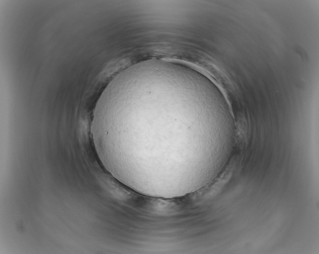 X0000111020333200907022204