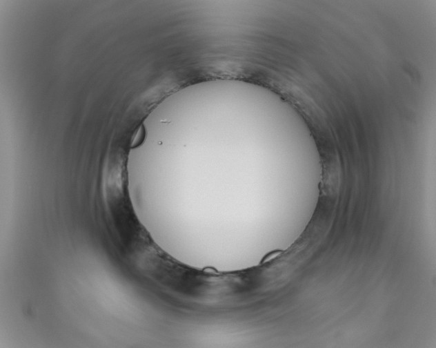 X0000111020334200907022204