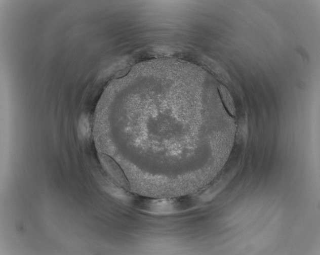 X0000111020335200907022204
