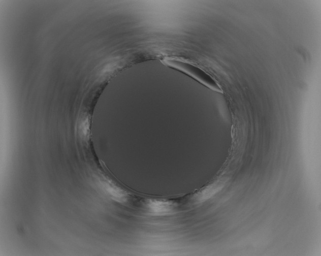 X0000111020336200907022204