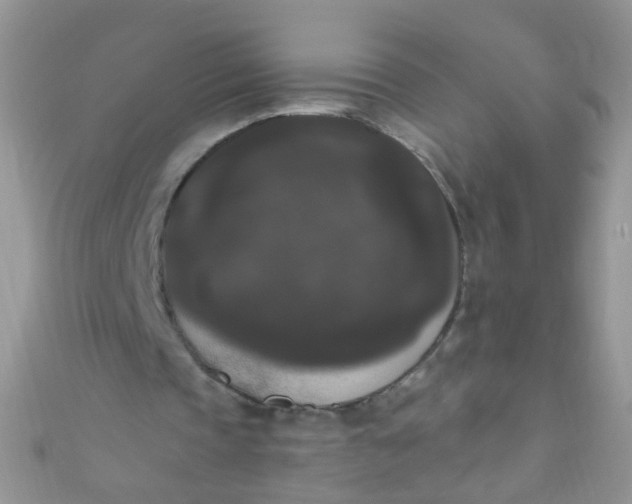 X0000111020337200907022203