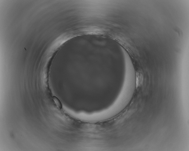 X0000111020339200907022203