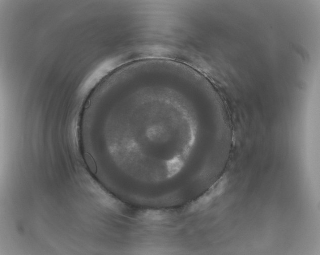 X0000111020341200907022203