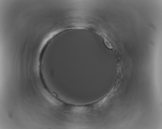 X0000111020342200907022203