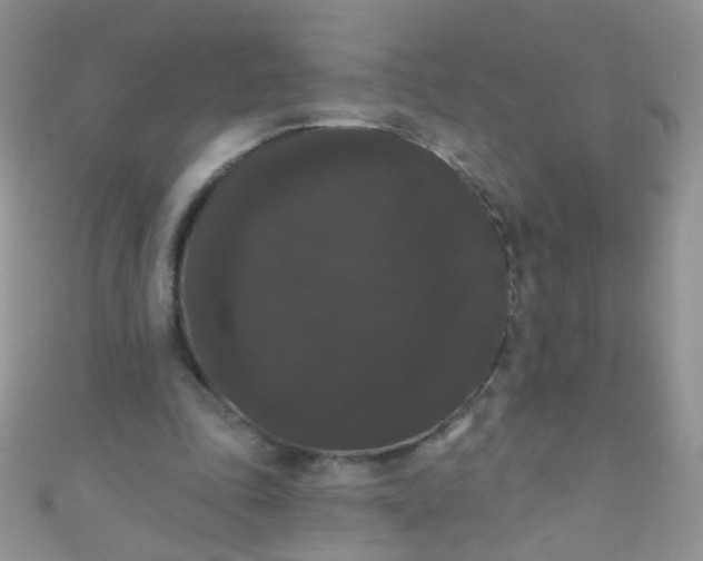 X0000111020343200907022203