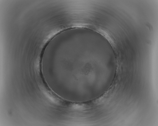 X0000111020346200907022203