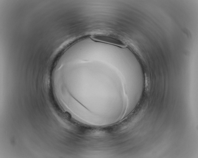 X0000111020348200907022203