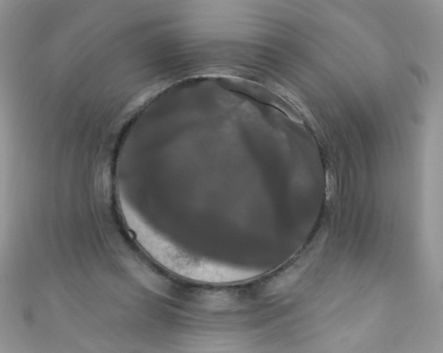 X0000111020349200907022203