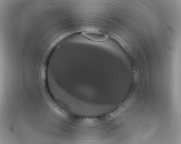 X0000111020350200907022203