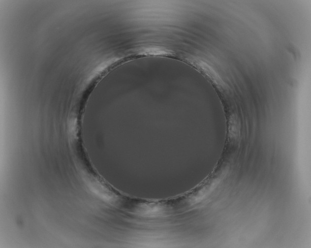 X0000111020351200907022203