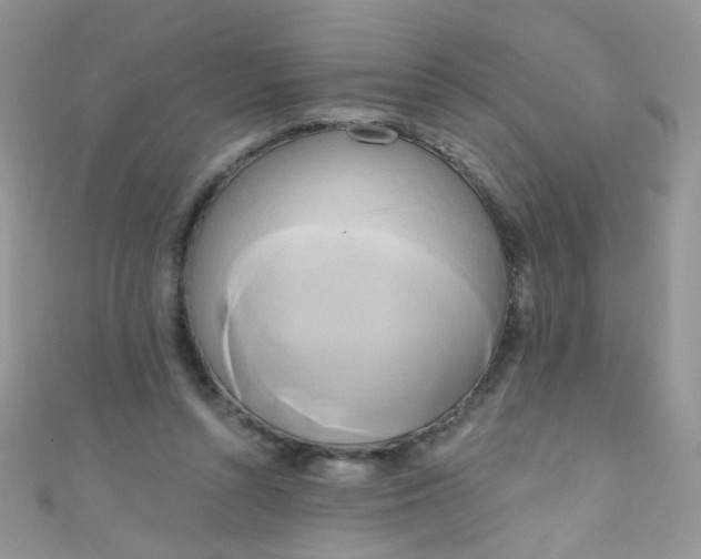 X0000111020352200907022203