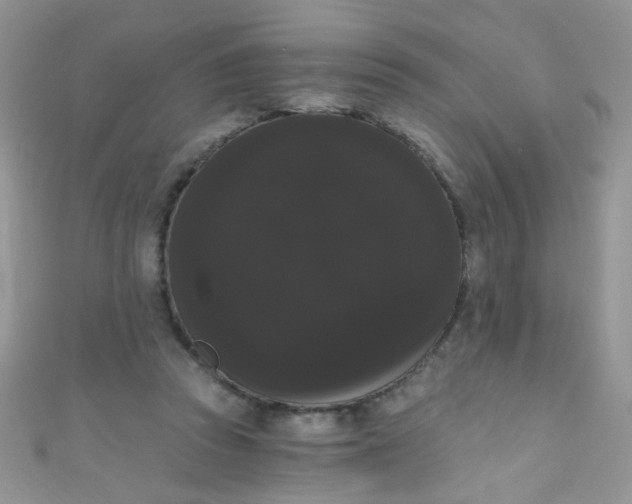 X0000111020353200907022203