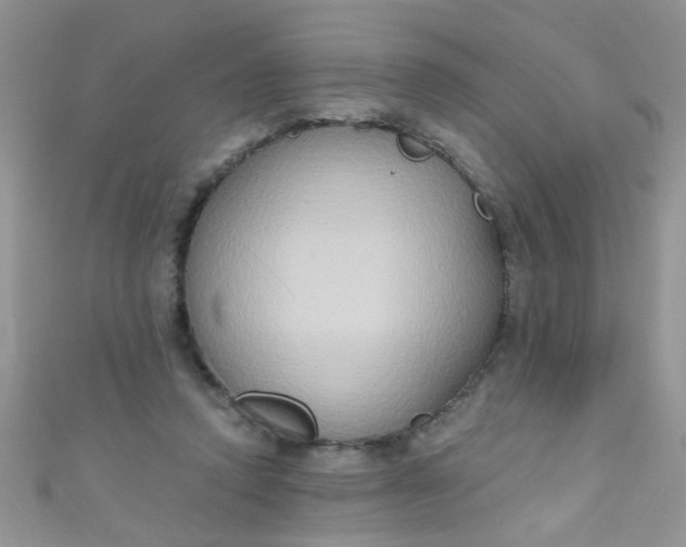 X0000111020354200907022203