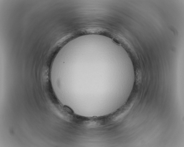X0000111020356200907022203