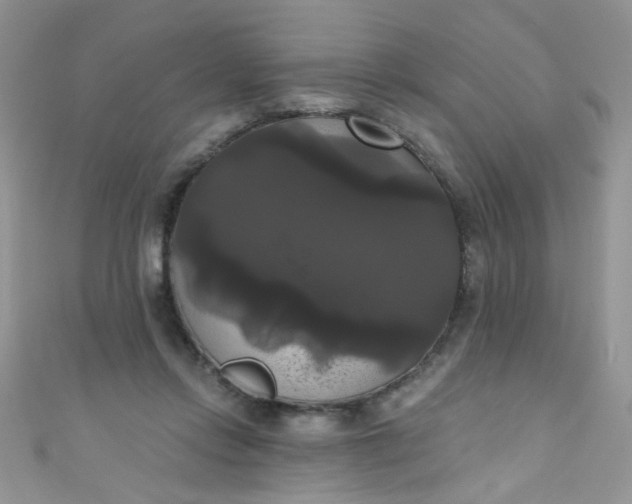 X0000111020358200907022203