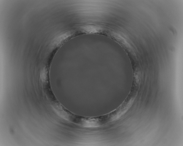 X0000111020359200907022203