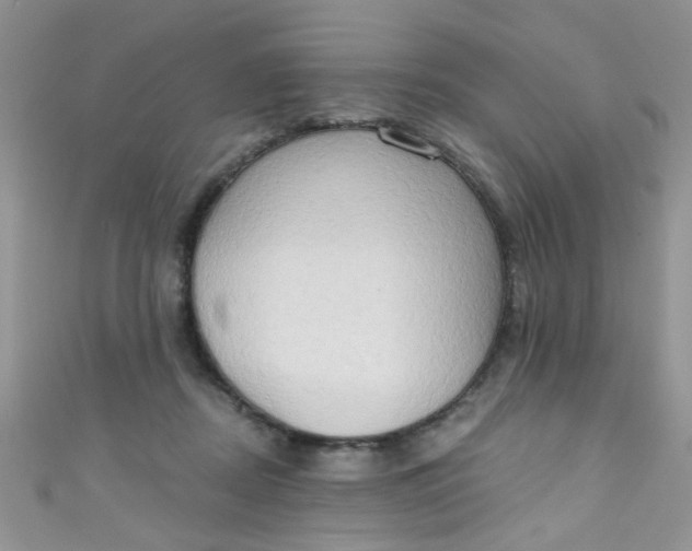 X0000111020362200907022203