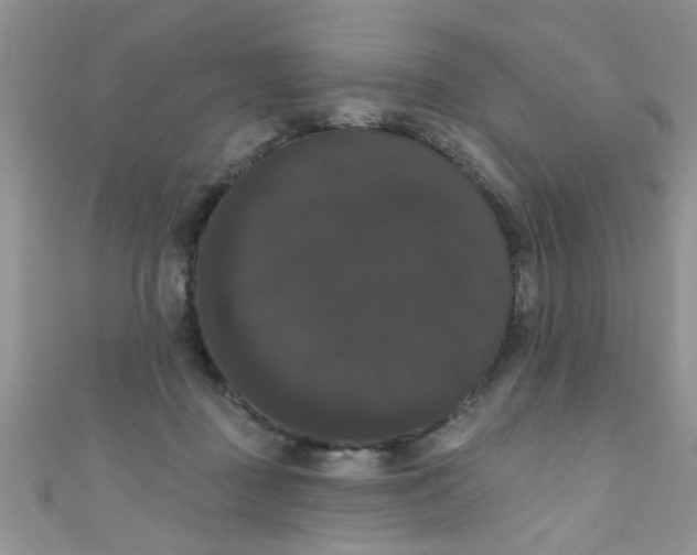 X0000111020363200907022203