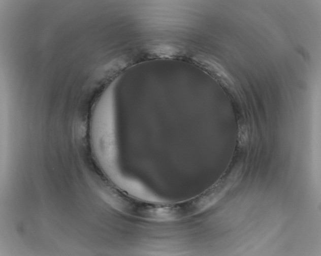X0000111020365200907022203