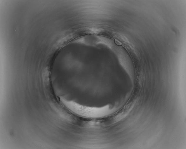 X0000111020366200907022203