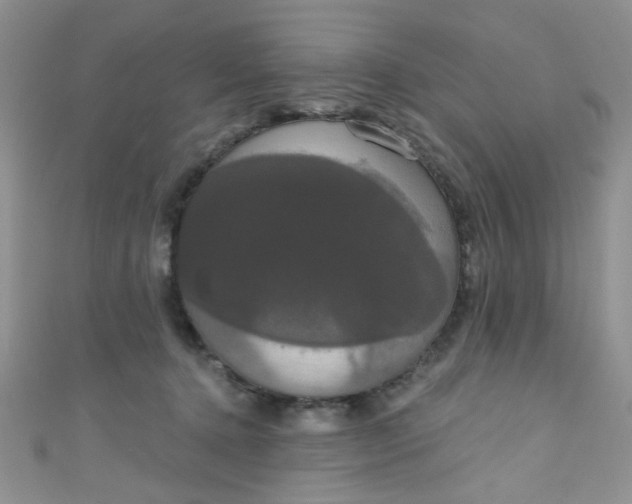 X0000111020368200907022203