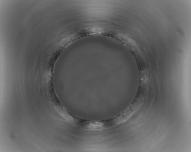 X0000111020369200907022203