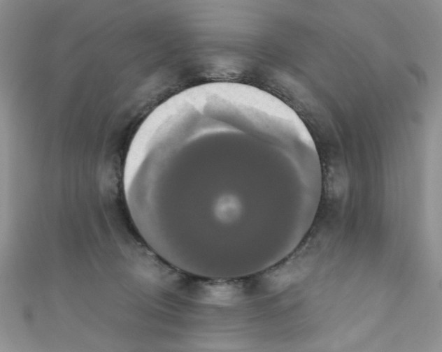 X0000111020370200907022203