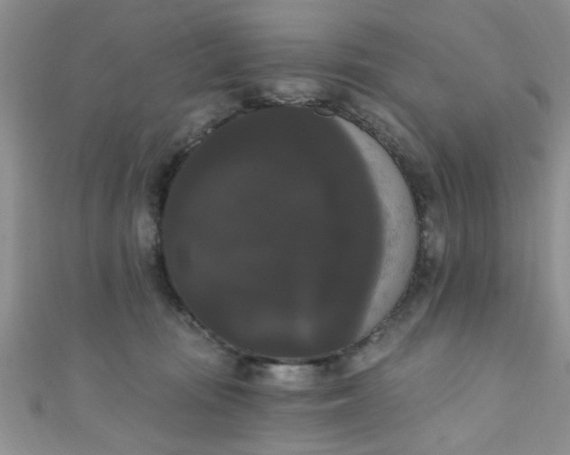X0000111020371200907022203