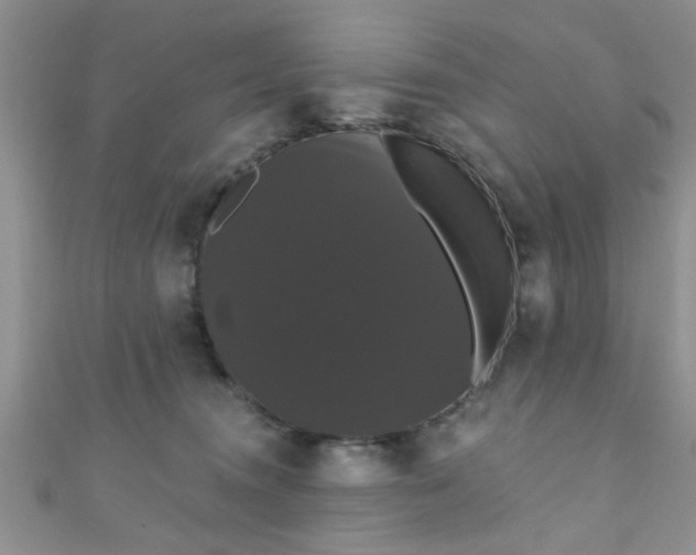 X0000111020372200907022203