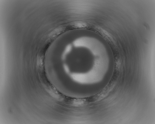 X0000111020373200907022203