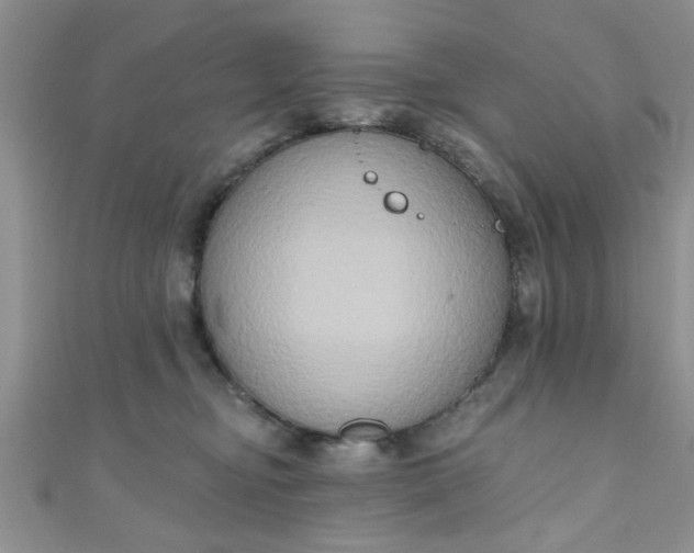 X0000111020374200907022204