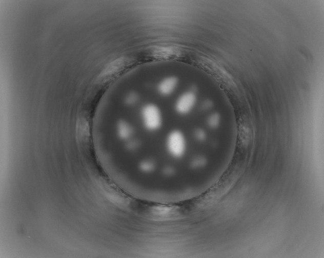 X0000111020375200907022204