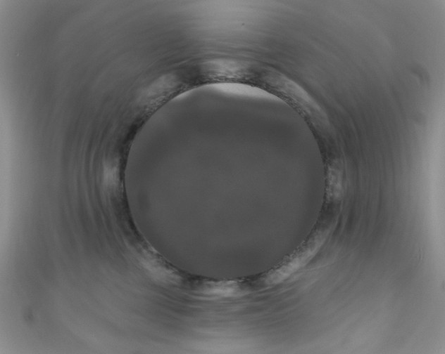 X0000111020377200907022204