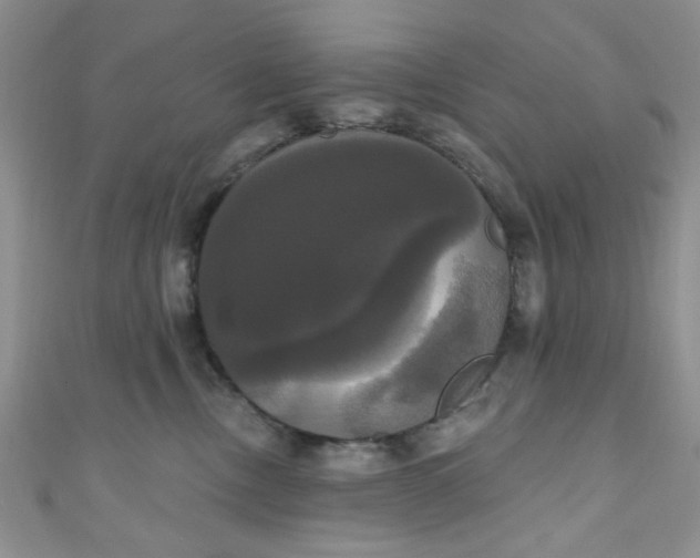 X0000111020378200907022204