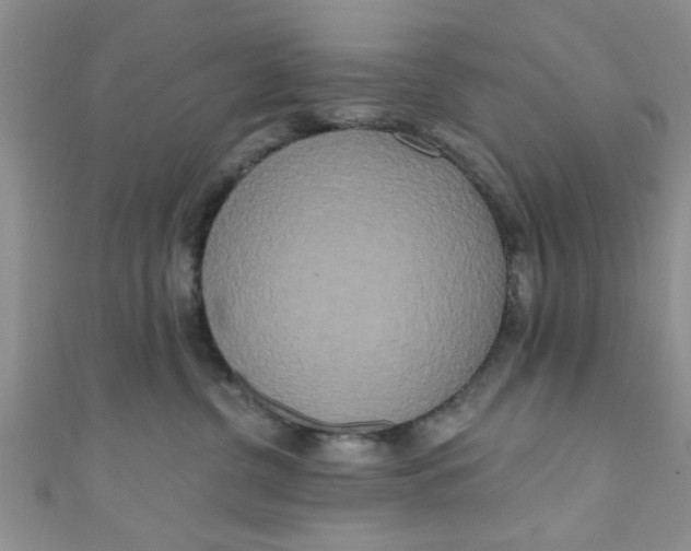X0000111020380200907022204