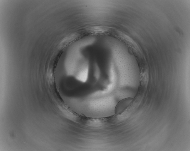 X0000111020381200907022204